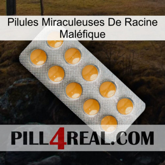 Pilules Miraculeuses De Racine Maléfique levitra1